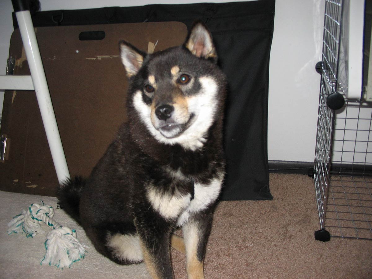 Bouki Sitting