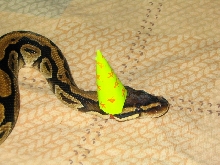 Damian on his 2nd birthday