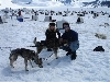 Dog Camp