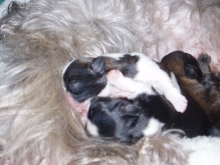 too cute!