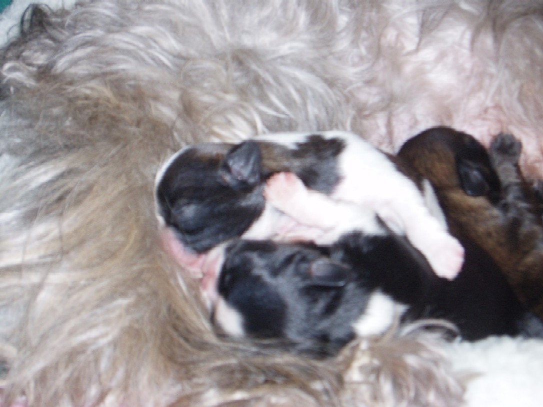 too cute!