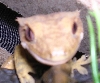 Comfy's eyes 2