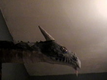 dragon head i built protruding 3 feet out of the wall