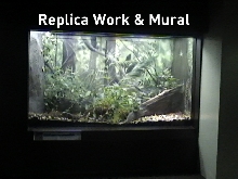 bushmaster exhibit i did for stl zoo herpetarium