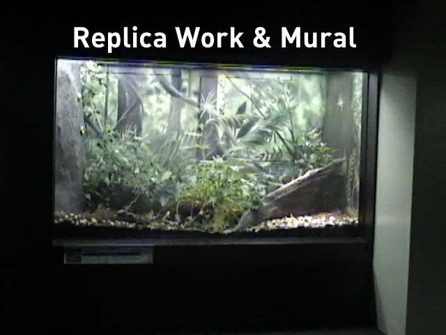bushmaster exhibit i did for stl zoo herpetarium