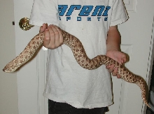 big