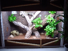 Snake-Terrarium