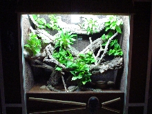 Snake-Terrarium