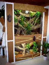 Snake-Terrarium