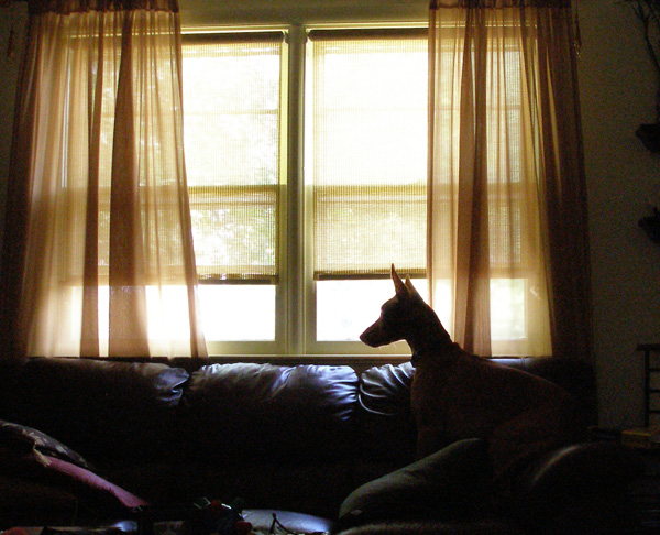 Watchful