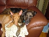 Achilles and Ripley
