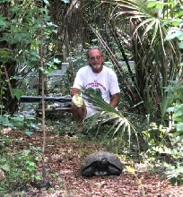 meandoldman