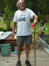 Yellow Rat Snake -2