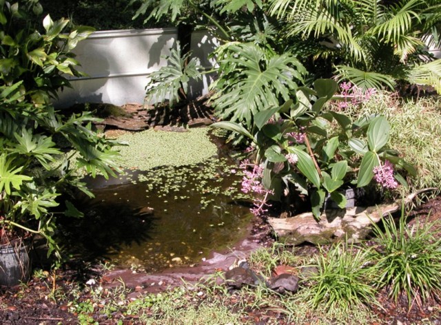 pondside1
