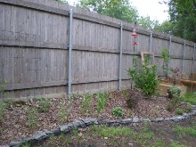 Flowerbed