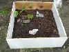 Temp Enclosure