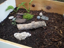 Temp Enclosure 2