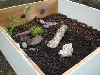 Temp Enclosure 3