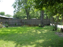 Backyard 1