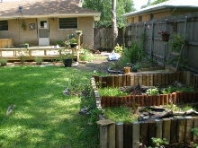 Backyard 2