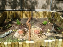 New Outside Enclosure 2