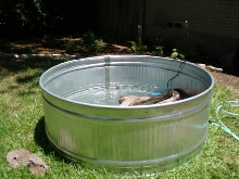 Stock tank 2