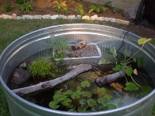 Stock tank 7