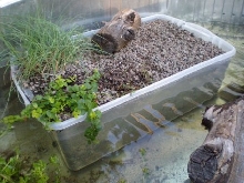 Stock tank 6