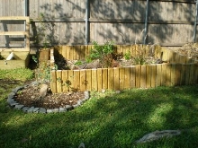 Turtle Pen-Sept