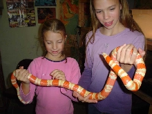 sarah and rach. with albino tang hondo