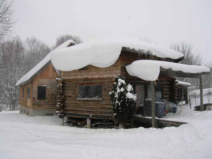 2010 January