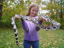 Sara and N Pine