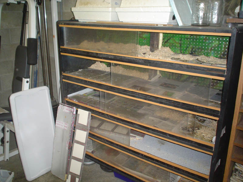 melamine snake tower