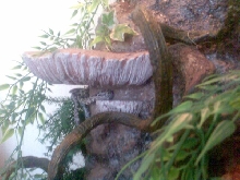 Jungle setting detail