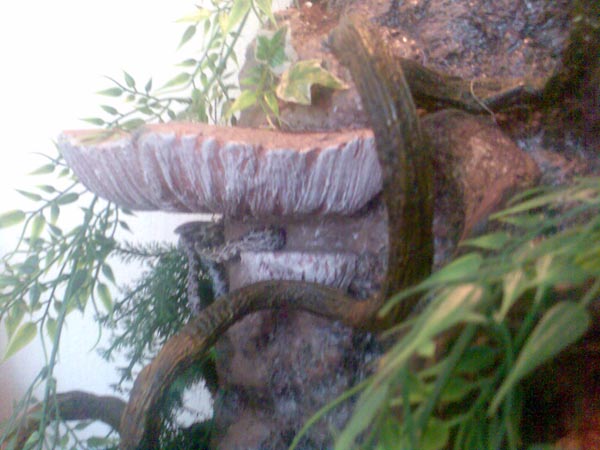 Jungle setting detail