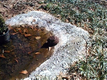 First out 03 04 2009