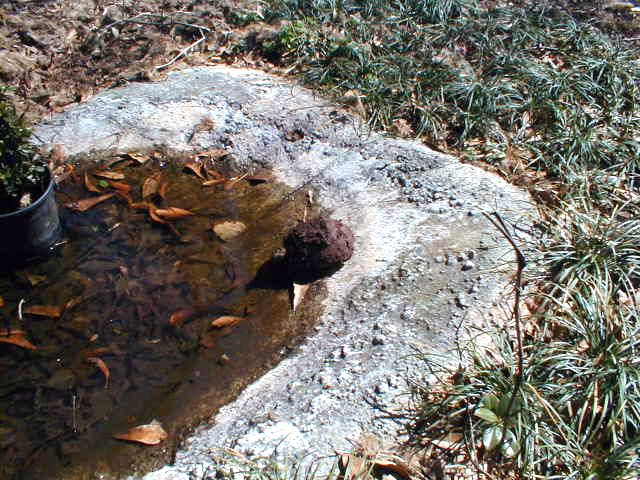 First out 03 04 2009
