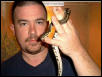 Male Ball Python