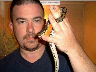 Male Ball Python