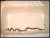 Nirah - Male Apricot Pueblan Milk Snake