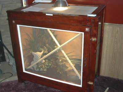 Ball Python Enclosure