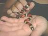 Ishtar - Female Apricot Pueblan Milk Snake