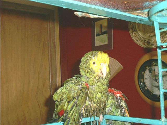 Francine takin' a shower