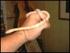 Wishbone the Snow Corn {male}