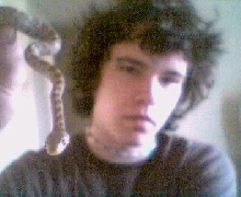 1.0 yellow ratsnake