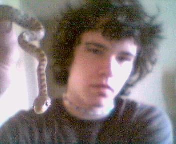 1.0 yellow ratsnake