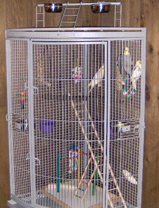 Tiels
