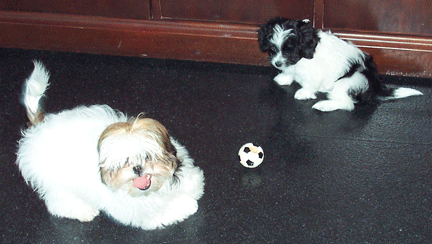 Let's Play!