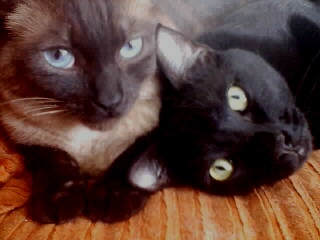 Al and Simon