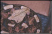 female gaboon